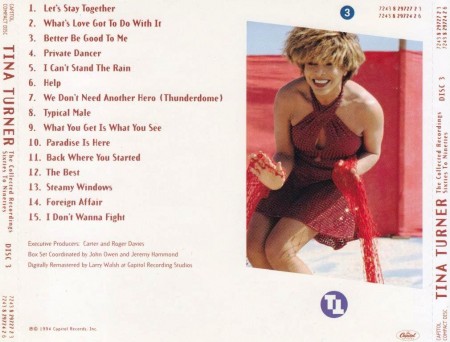 Tina Turner - The Collected Recordings: Sixties To Nineties (3 CD, 1994)